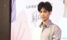 李特立爆料罗云熙视频,李特立爆料背后真相揭秘