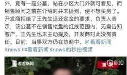 重庆王先生最新爆料,揭秘某神秘事件背后真相